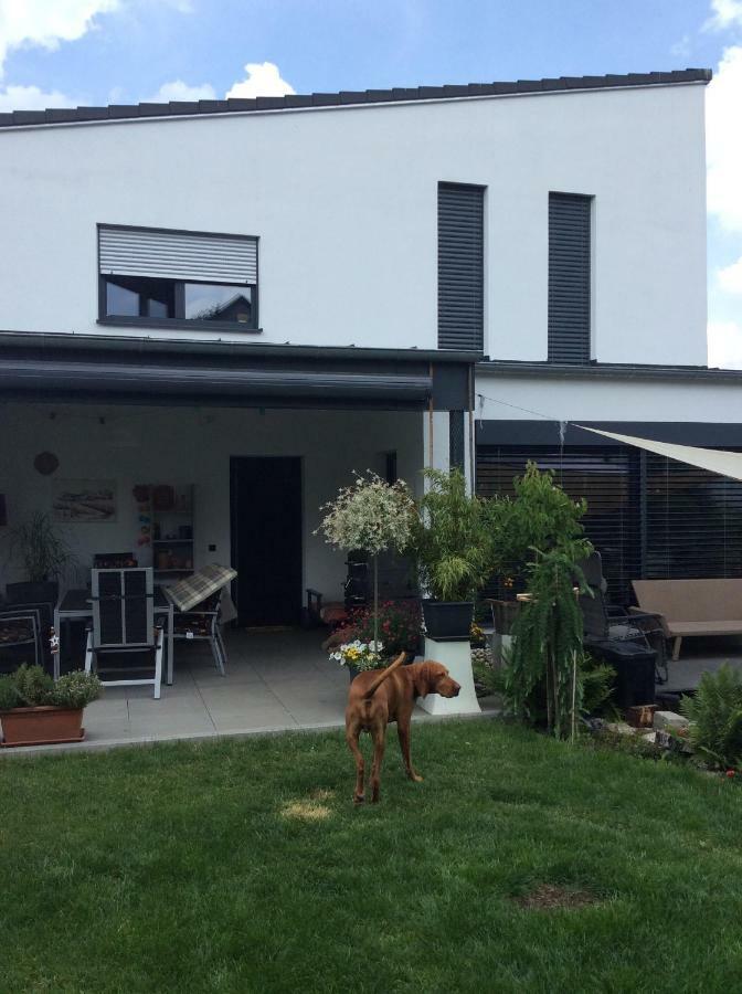 Private Zimmervermietung "Appartement Rosi" Reisbach Exteriör bild
